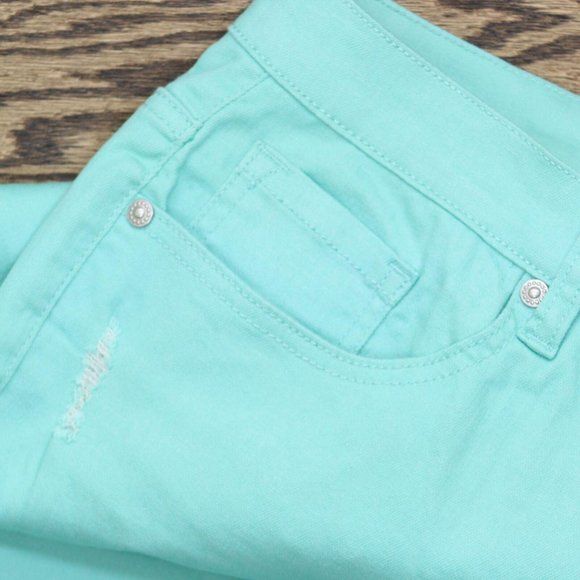 NWT DG2 Plus Size Virtual Stretch Destructed Skinny Jeans 18W Seafoam Blue - Picture 5 of 8